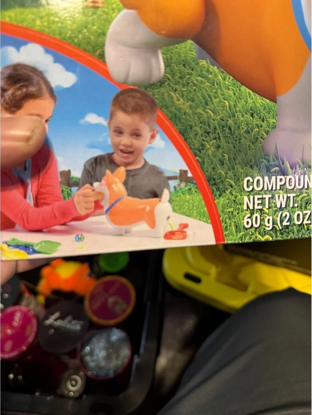 Doggie Doo Corgi Interactive Kids Game